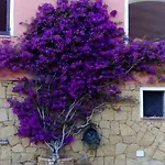 Annalia