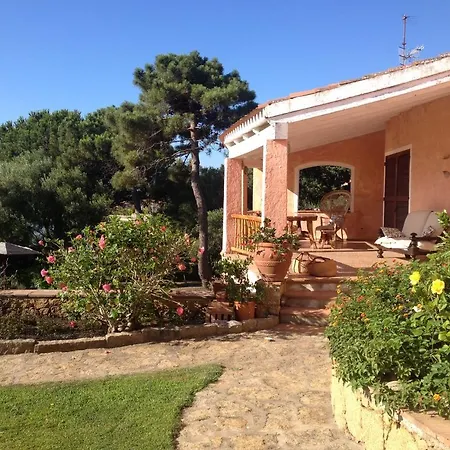 Annalia קניגיונה